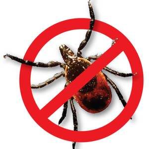 Meet your Posher, Dan